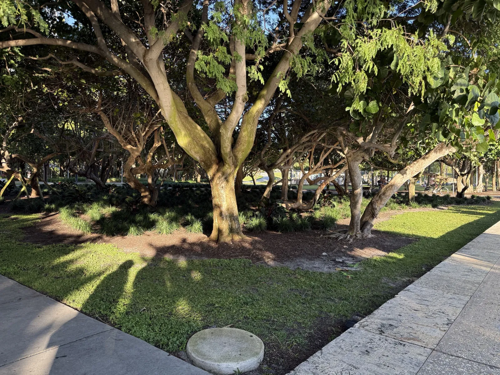 Miami