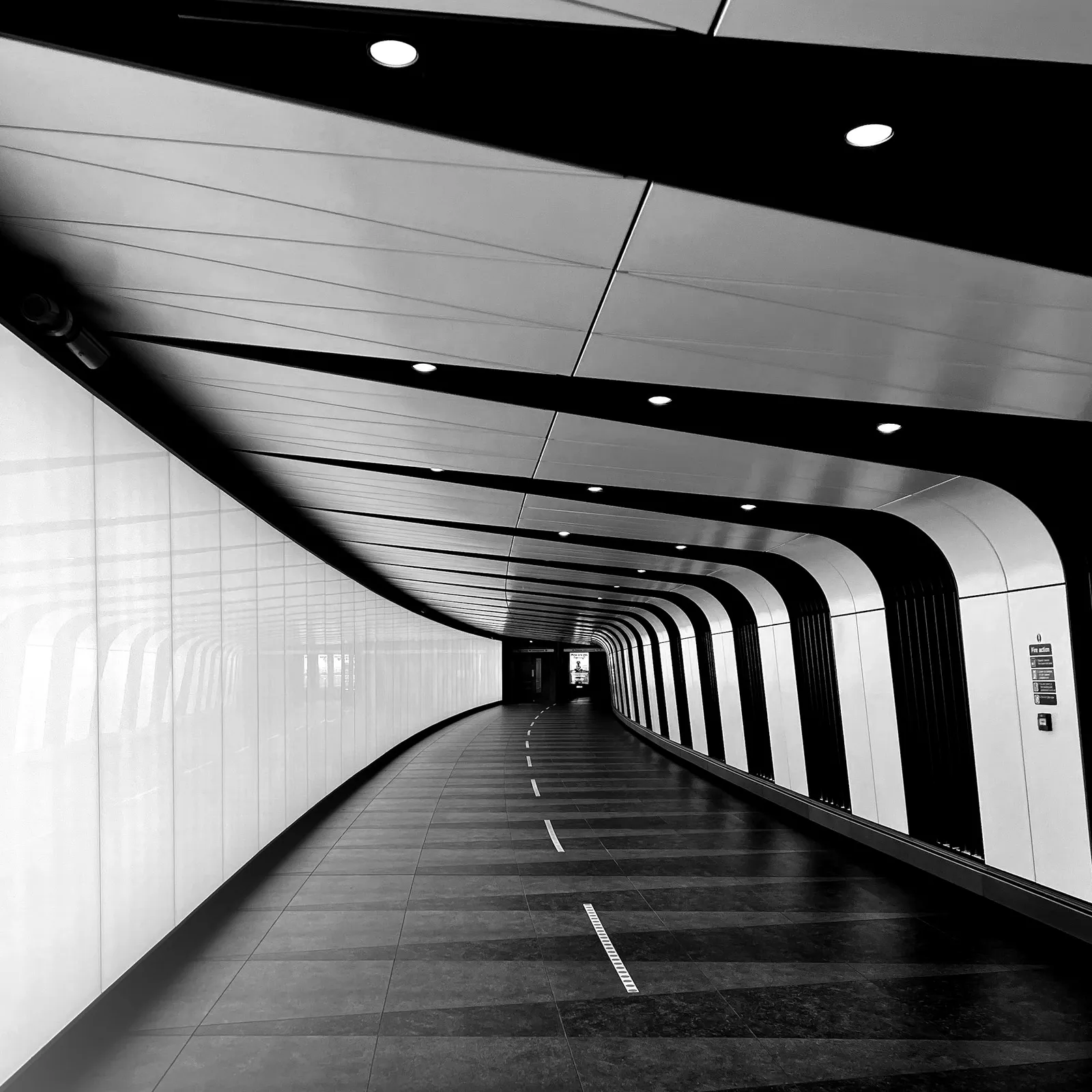 Staying Open to Opportunity