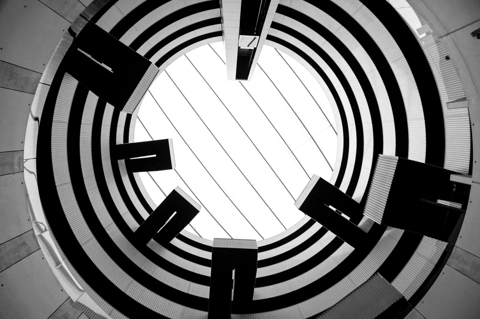 The Future of Software Engineering